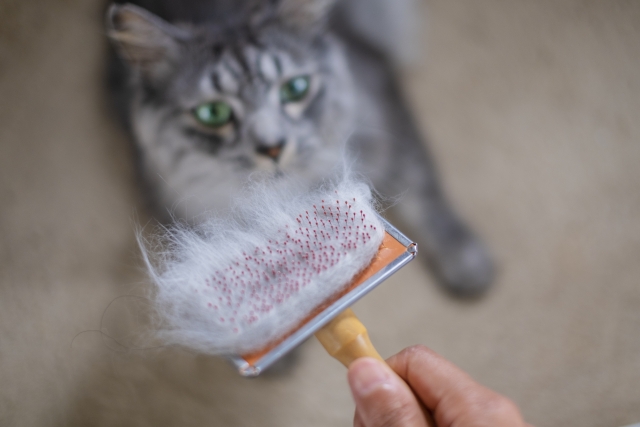 長毛 猫 ブラッシング スプレー おすすめ　