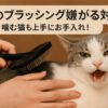猫　ブラッシング　嫌がる　対策