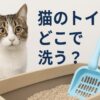 猫 の トイレ どこで 洗う