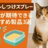 猫 トイレ しつけ スプレー 効果