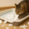 猫 トイレ シート ぐちゃぐちゃ