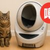 全自動猫トイレ　池崎