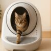 猫　自動トイレ　使ってくれない