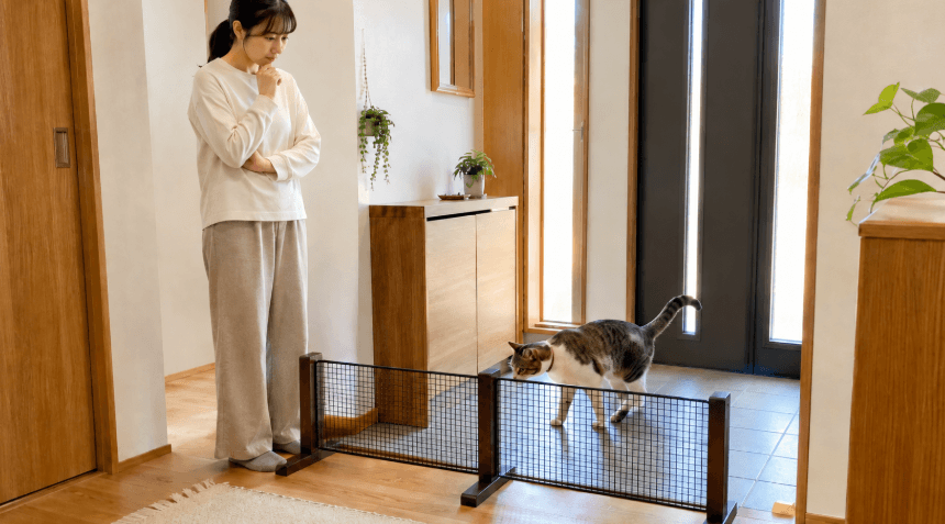玄関に置くだけの低い猫脱走防止柵を見守る女性