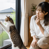 網戸に前足を掛ける猫を見守る女性と窓からの脱走対策