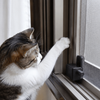 猫が網戸を開けるのを防ぐ網戸ロック・ストッパー