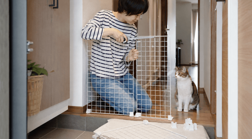 ワイヤーネットの幅と隙間を測りながら猫の脱走防止柵を手作りする女性