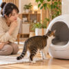 自動猫トイレの入口をのぞくキジ白猫と、使ってくれるか見守る女性